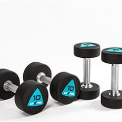 12-Sided Urethan Dumbbell (1 Cặp)