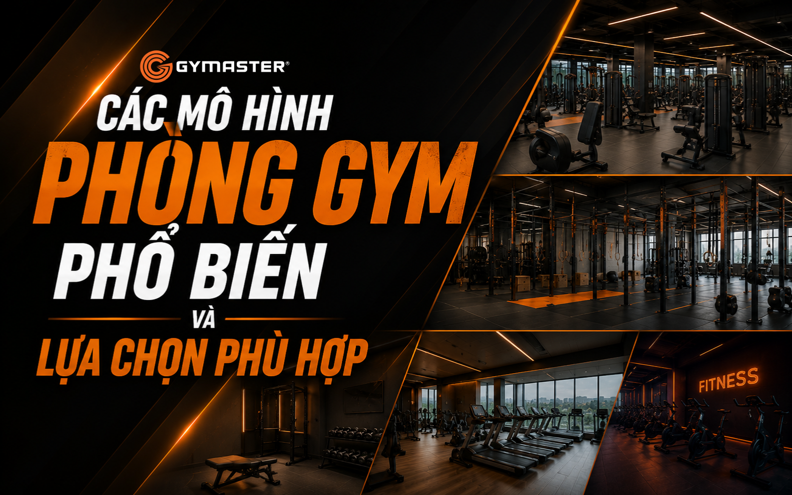 Tối Ưu Ngân Sách Mở Phòng Gym: Hướng Dẫn Toàn Diện Để Khởi Nghiệp Hiệu Quả 2