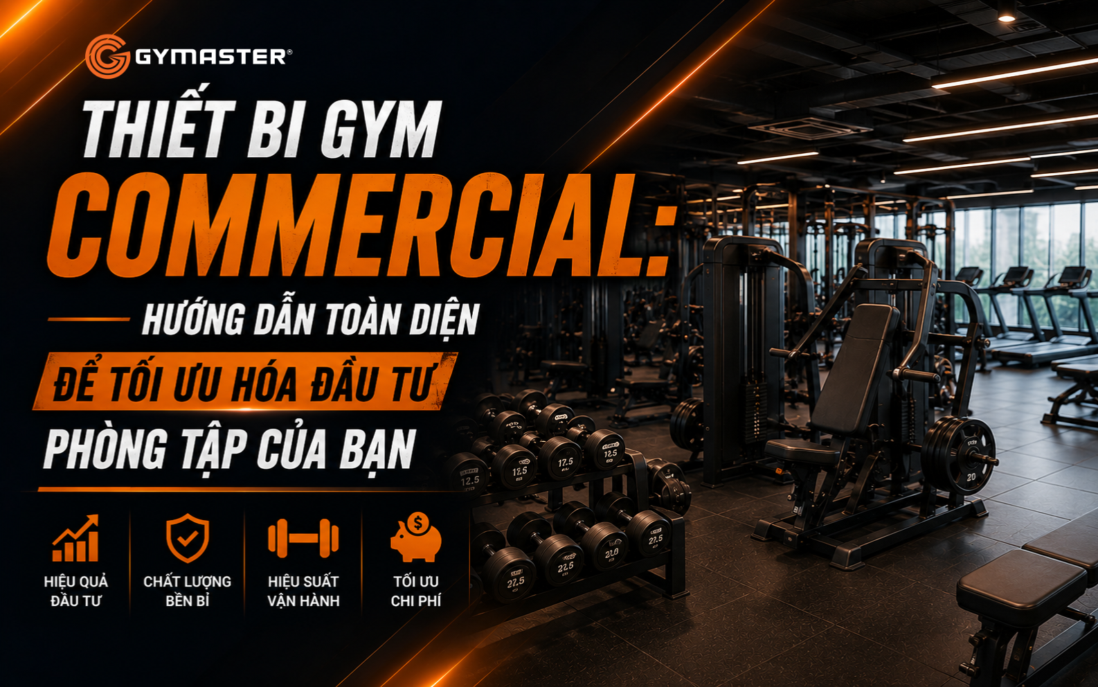 Thiết Bị Gym Commercial: Hướng Dẫn Toàn Diện Để Tối Ưu Hóa Đầu Tư Phòng Tập Của Bạn 1 Thiết Bị Gym Commercial: Hướng Dẫn Toàn Diện Để Tối Ưu Hóa Đầu Tư Phòng Tập Của Bạn 1