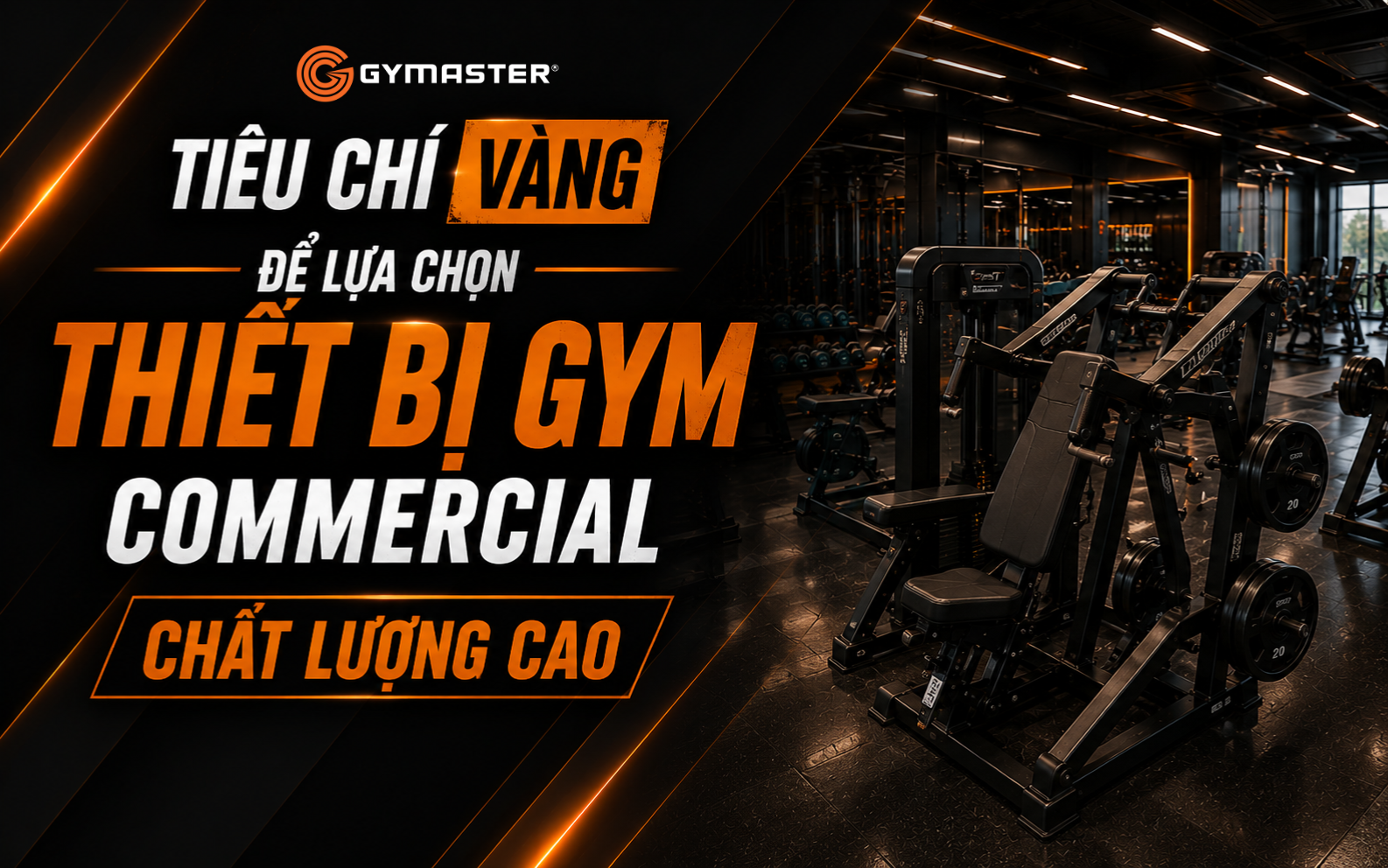 Thiết Bị Gym Commercial: Hướng Dẫn Toàn Diện Để Tối Ưu Hóa Đầu Tư Phòng Tập Của Bạn 2 Thiết Bị Gym Commercial: Hướng Dẫn Toàn Diện Để Tối Ưu Hóa Đầu Tư Phòng Tập Của Bạn 2