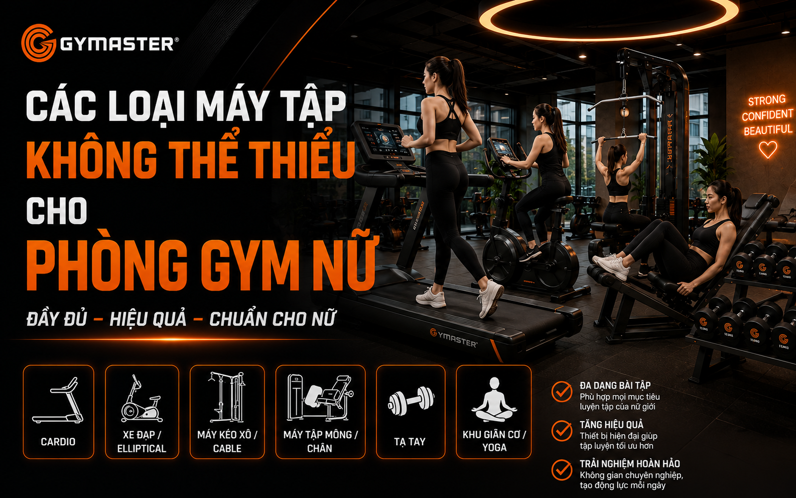 Phòng Gym Nữ Nên Đầu Tư Những Máy Gì? Hướng Dẫn Chi Tiết Từ A-Z 2