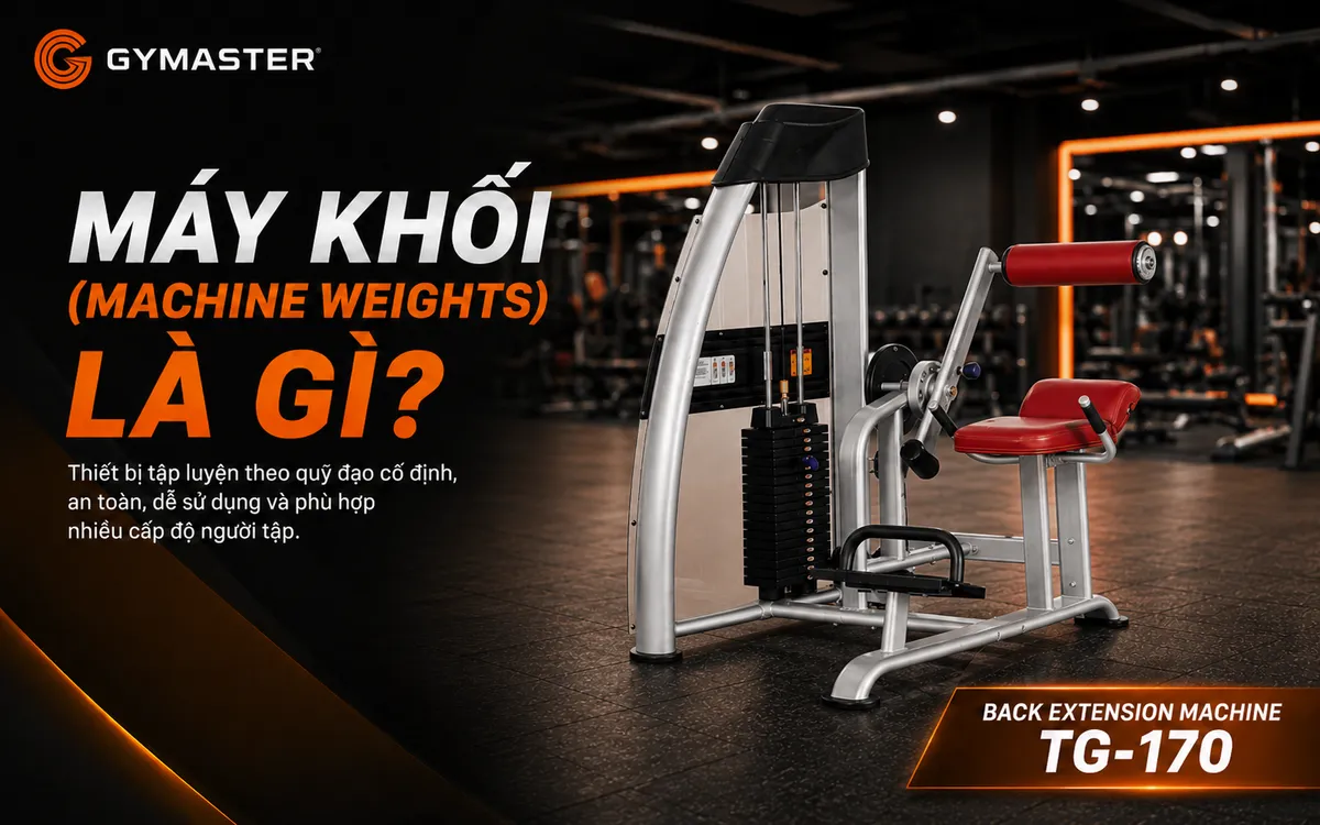 Máy Khối Hay Tạ Rời? Hướng Dẫn Phân Bổ Vốn Thiết Bị Tối Ưu Cho Phòng Gym Mới 3 Người tập sử dụng máy tập lưng Back Extension Machine Tiger Sport TG-170, minh họa ưu điểm của máy khối trong phòng gym.