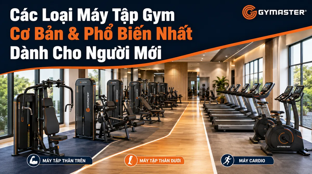Máy Tập Gym Cho Người Mới: Hướng Dẫn Toàn Diện Từ A-Z Để Bắt Đầu Hiệu Quả và An Toàn Cùng Gymaster 3 Hình ảnh tổng hợp các loại máy tập gym cơ bản và phổ biến, được sắp xếp theo nhóm cơ trong phòng tập chuyên nghiệp của Gymaster, phù hợp cho người mới bắt đầu.