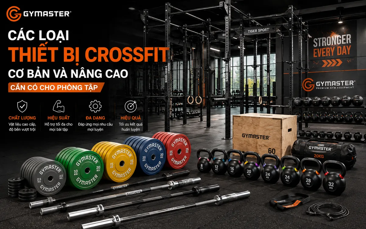 Thiết Bị Phòng Tập CrossFit: Hướng Dẫn Toàn Diện Từ Lựa Chọn Đến Bố Trí Hiệu Quả Cùng Gymaster 3 Bộ sưu tập thiết bị CrossFit cơ bản: tạ đòn Olympic, đĩa tạ bumper, kettlebell và giàn tập đa năng của Gymaster